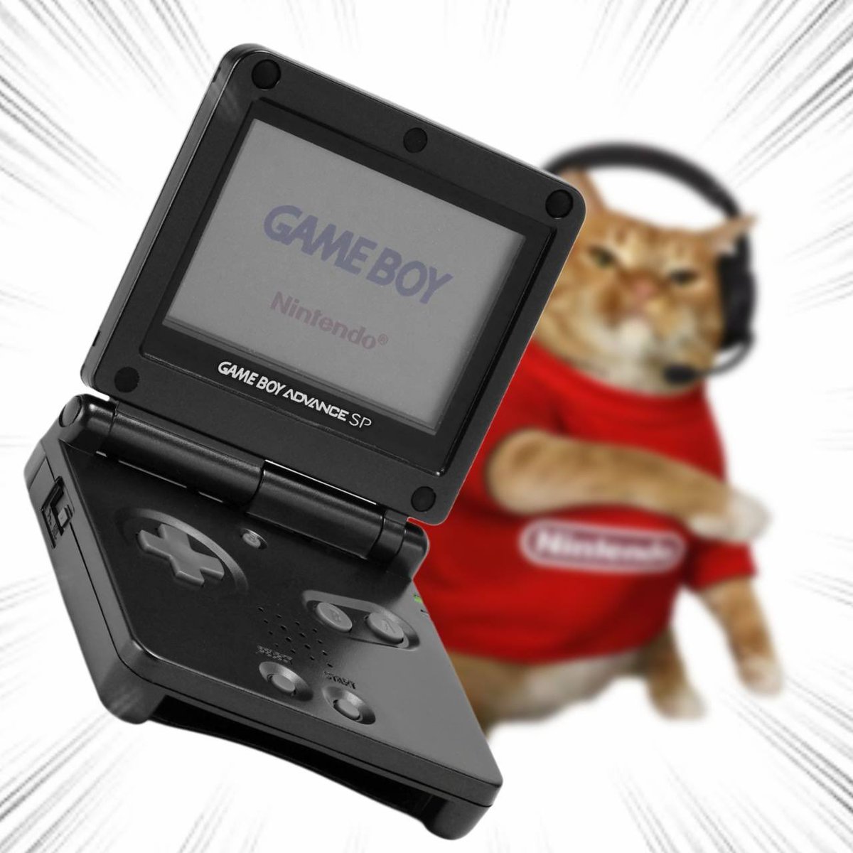 Throwing Things Daily tweet media