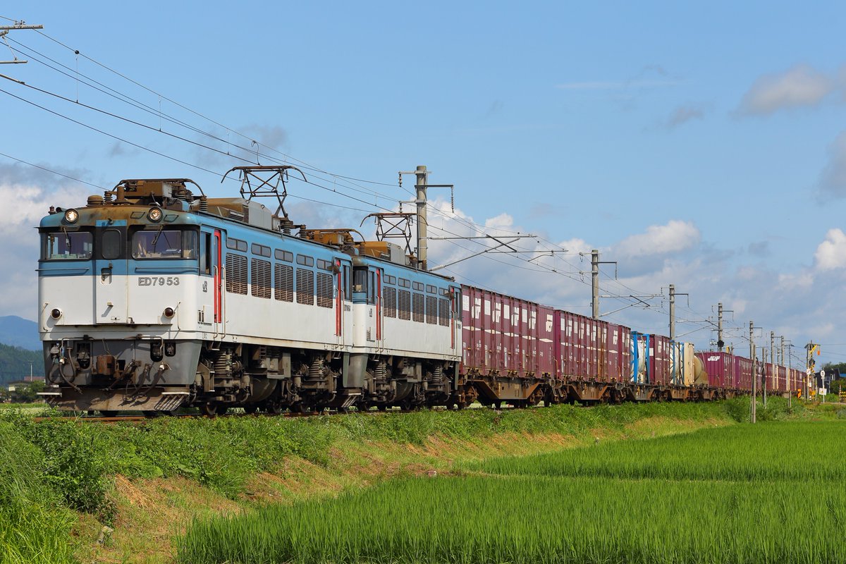 レレレのじいさん tweet media