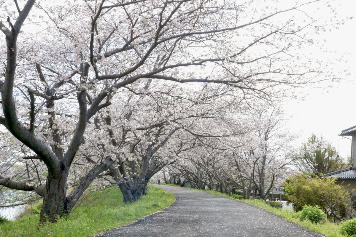 つるすけ tweet media