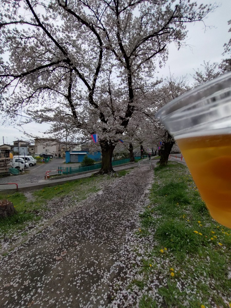 ふぃお⚔tiamat鯖 tweet media