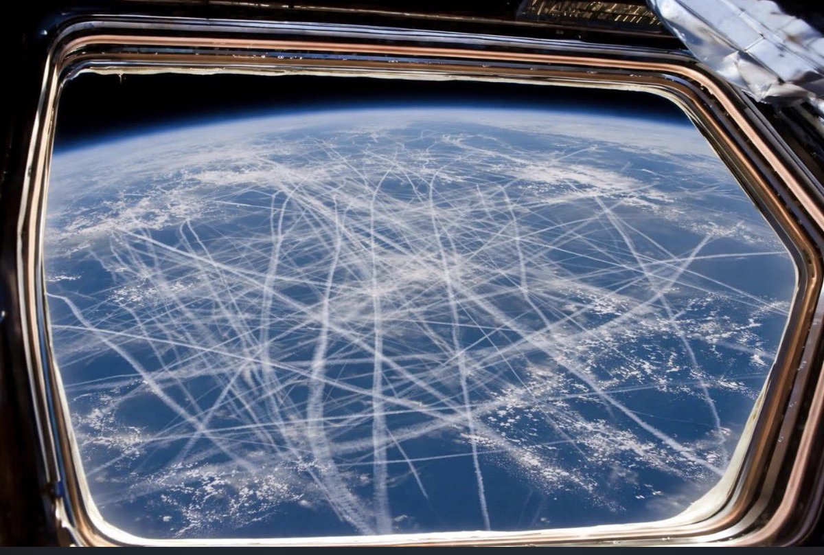 Eric Moutsos tweet media