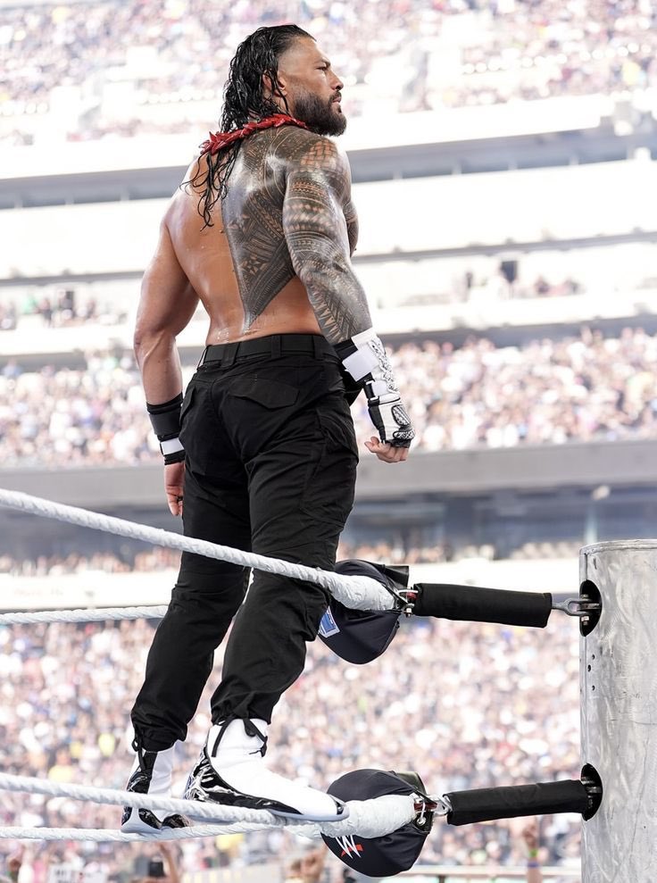hourly roman reigns tweet media