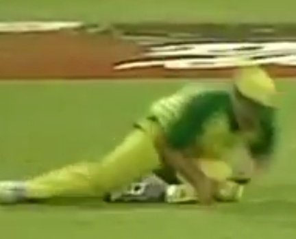 Elephant Tweets 🐘 tweet media