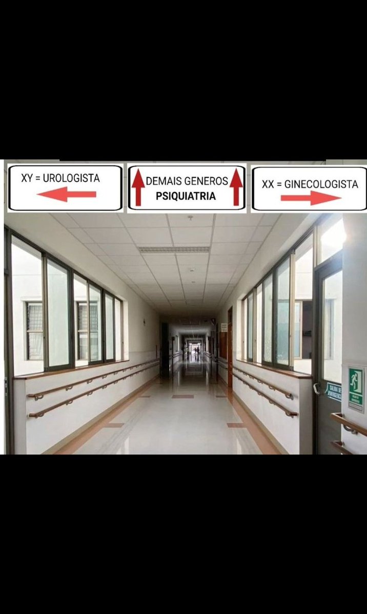 🌸DAPHINE 🌸🇧🇷 tweet media