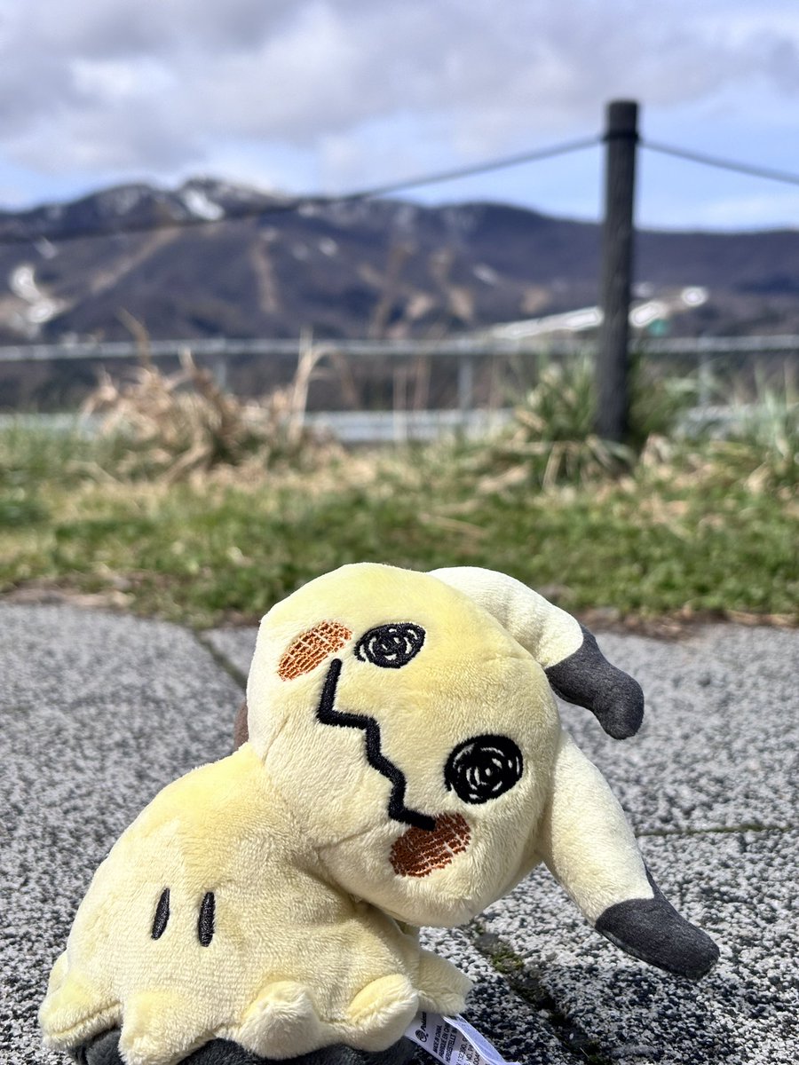 Michael Cox@元美濃川 tweet media