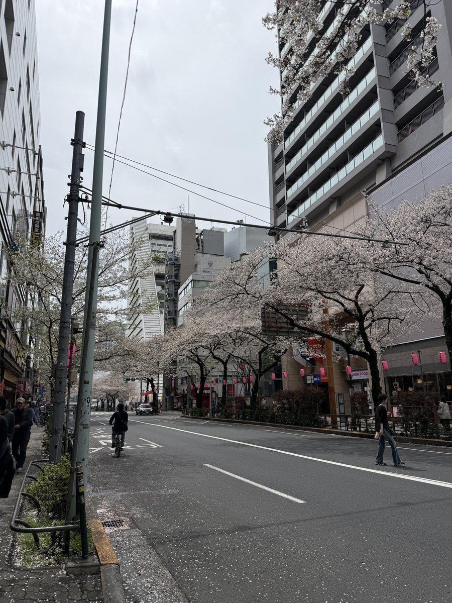 なめだんご tweet media