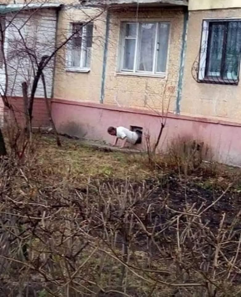 САДАР ЛАМ tweet media