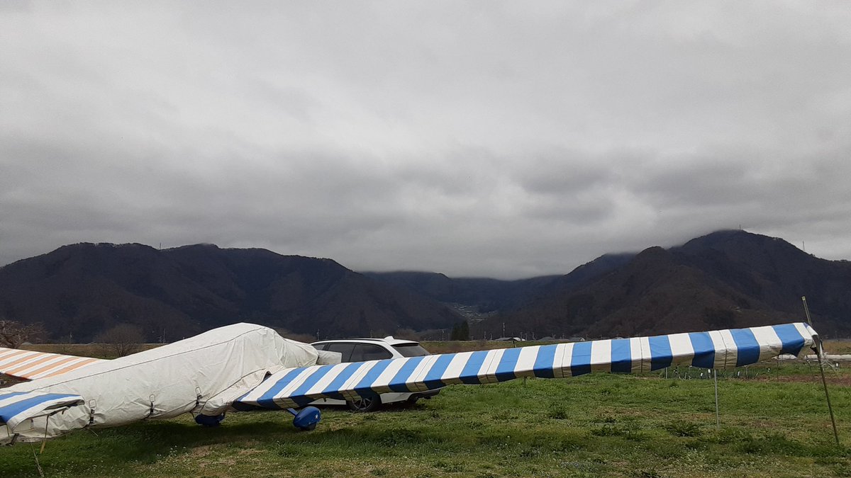 そらのムタ tweet media