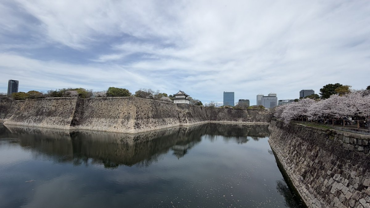 のぶ(+アヒル隊長) tweet media