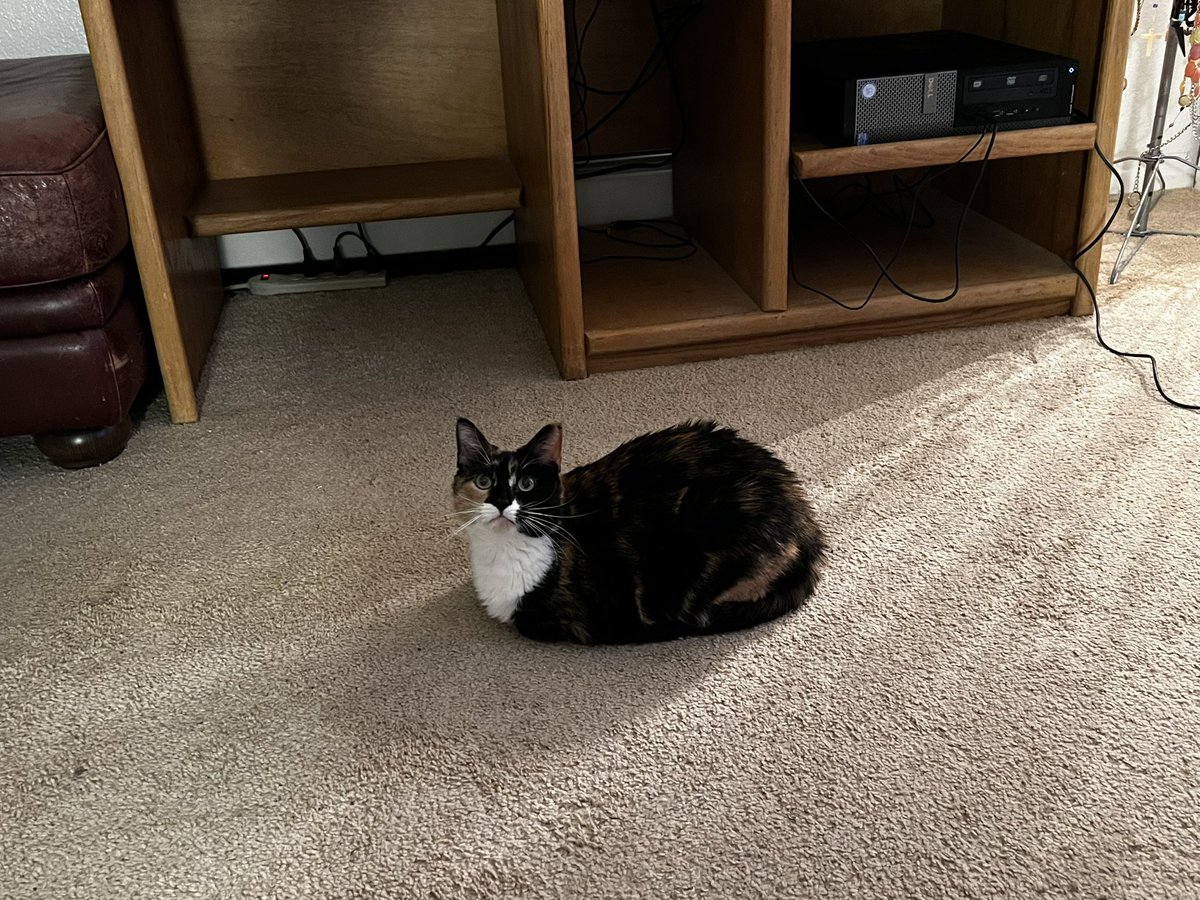 keiths kinda writing tweet media