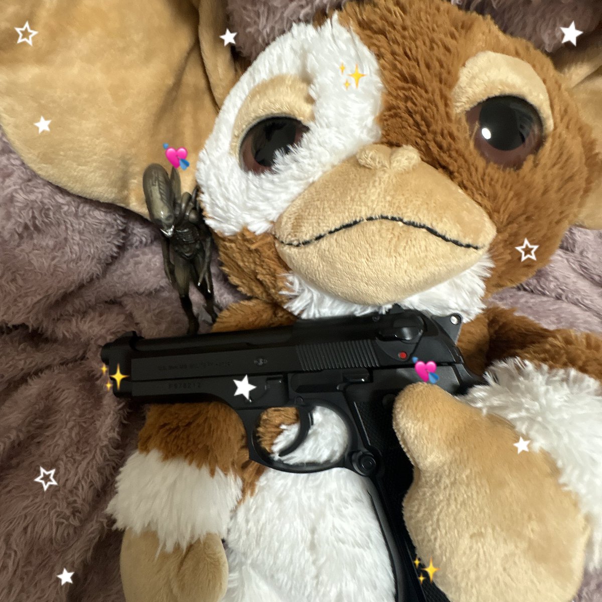 ぽち🐶 tweet media