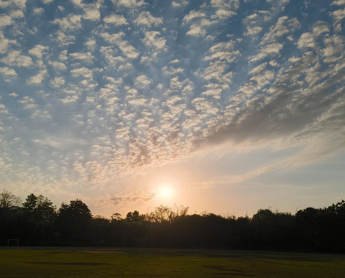 officer mos tweet media