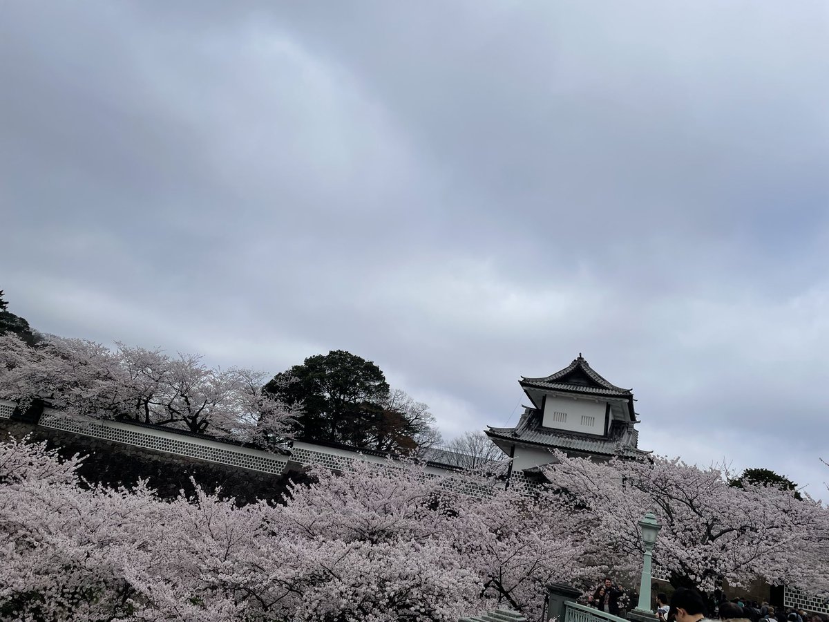 meechan38's tweet photo. 花見してきました🌸 https://t.co/gi5rHXcAvV