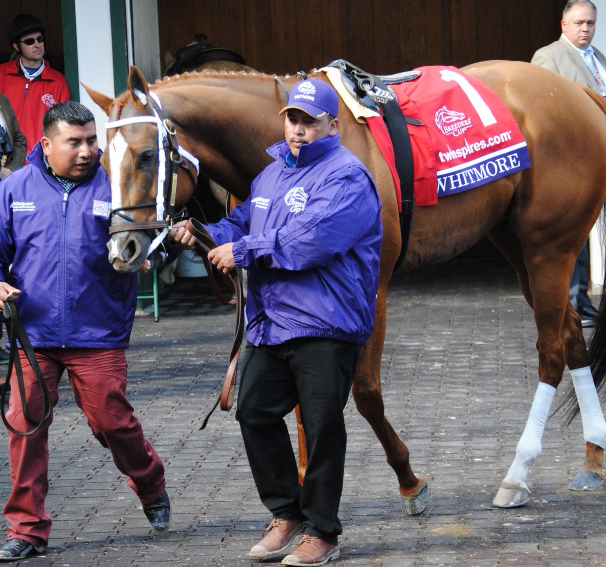 Randy Stacy tweet media