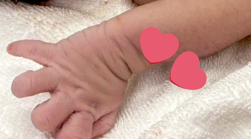 ぴざ@39w→0y🎀 tweet media