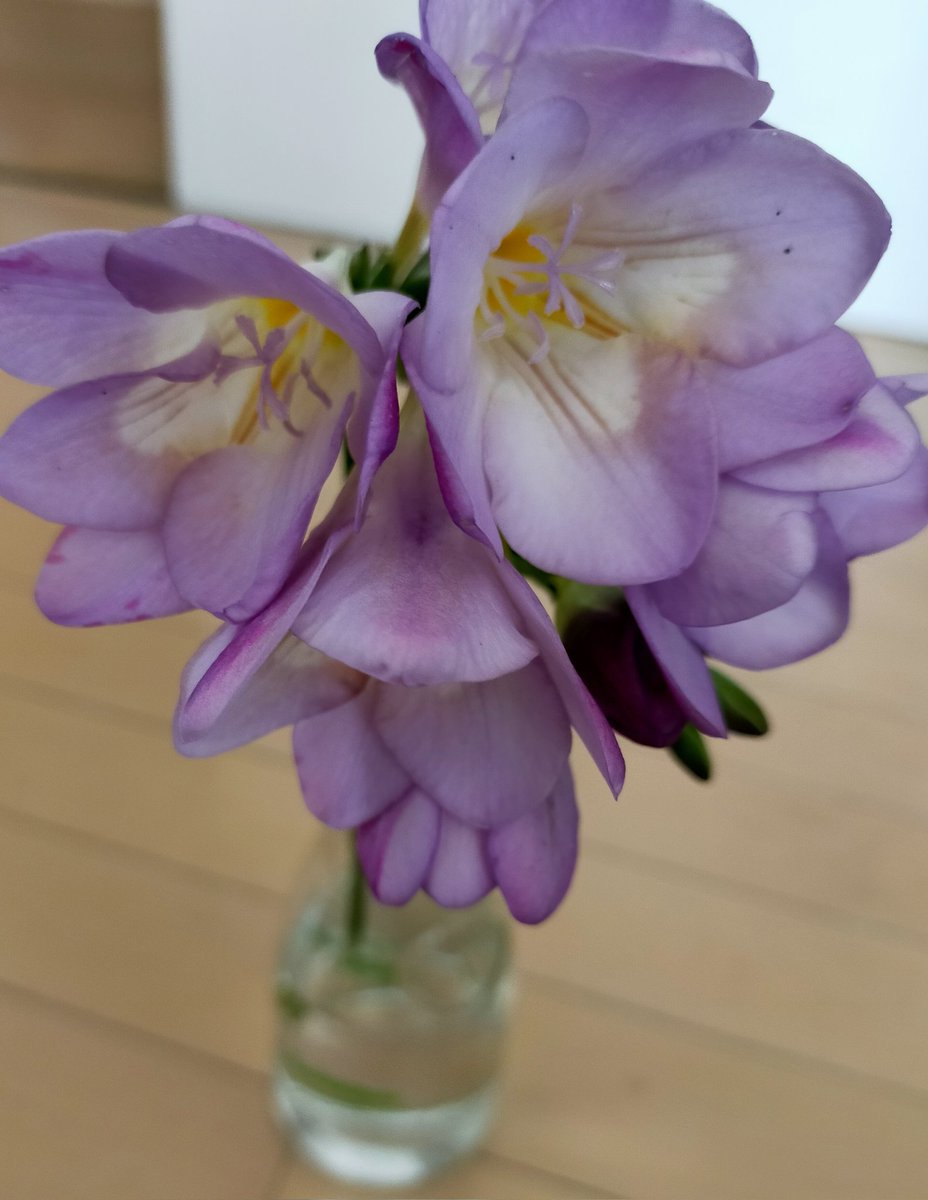 やまもと はづき☽山本葉月 tweet media