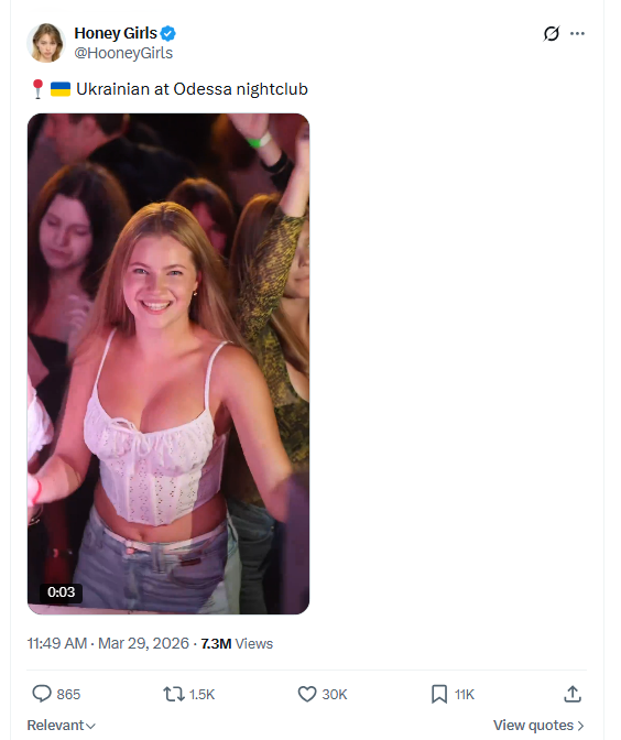 david D. tweet media