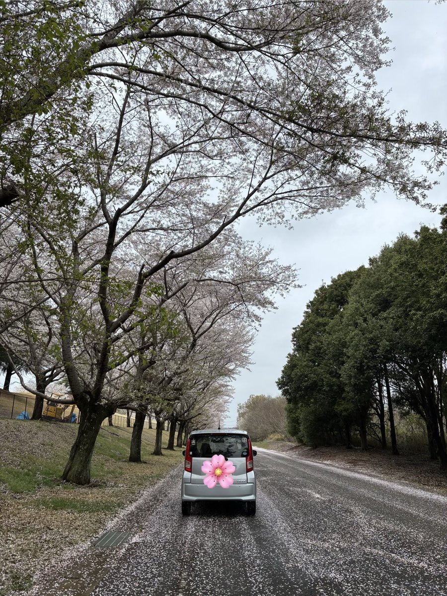 あけみさん tweet media