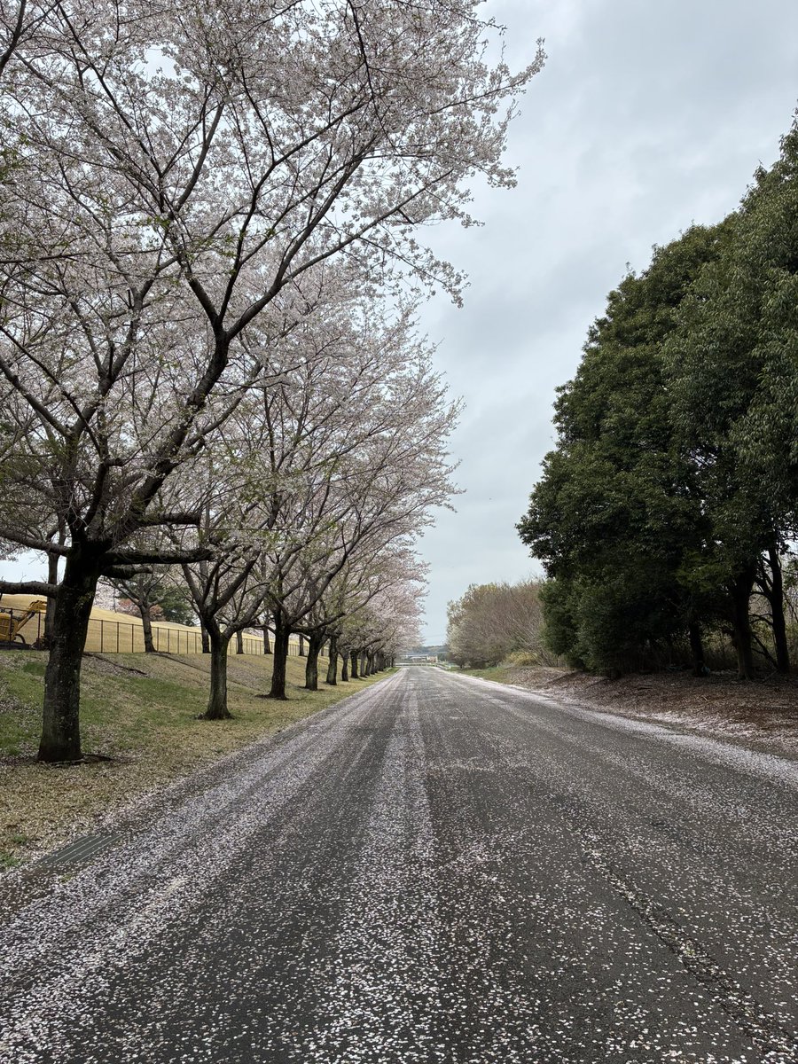 あけみさん tweet media