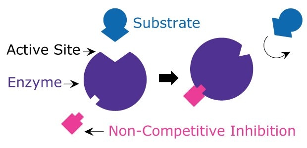 kazzerath tweet media