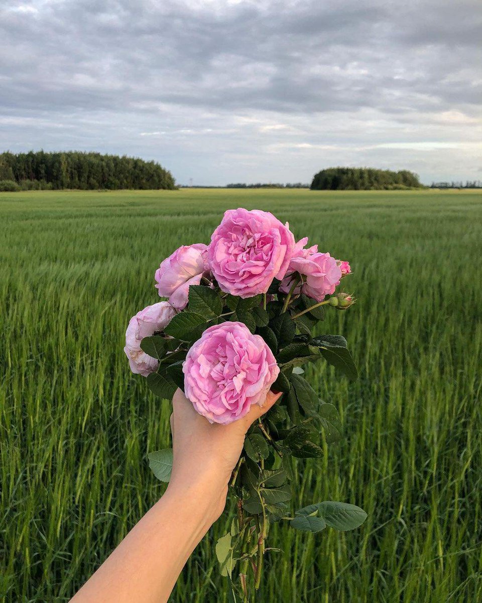 Man_of_ the_People 🐐 tweet media