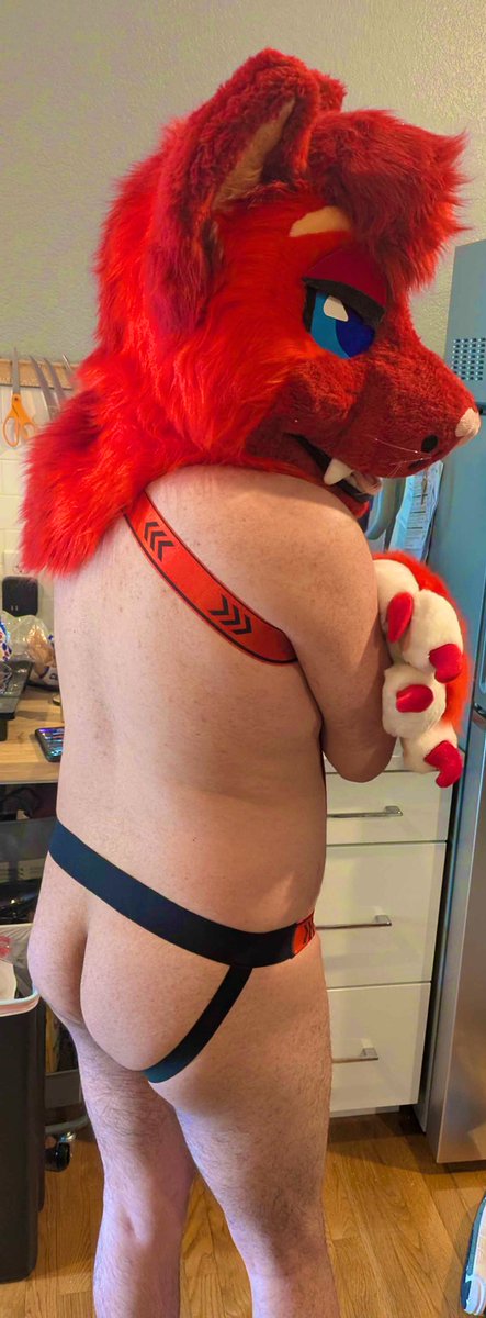 Buttpawz🔞🔜FWA🔜FURALITY ULTRA tweet media