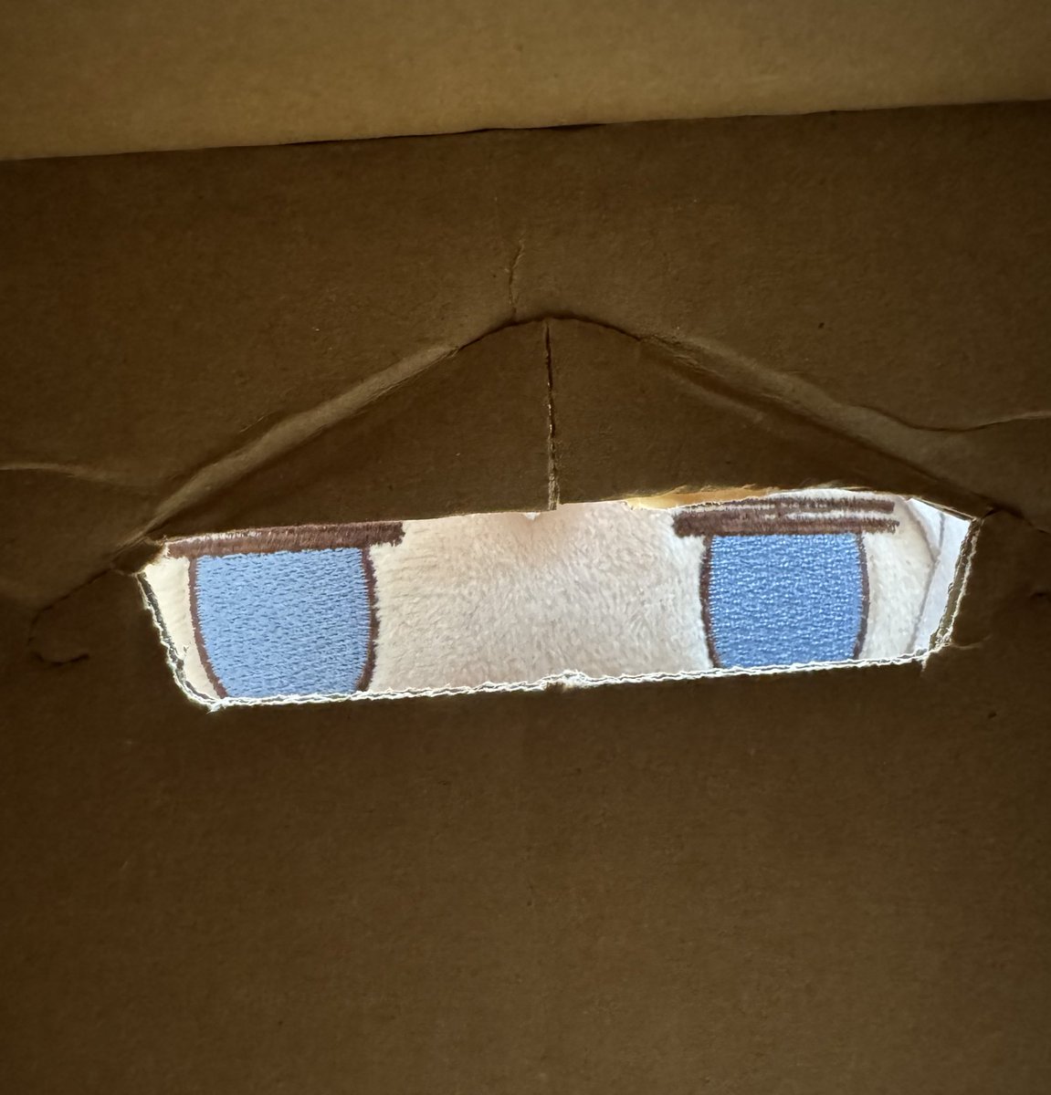 ユーフォ tweet media