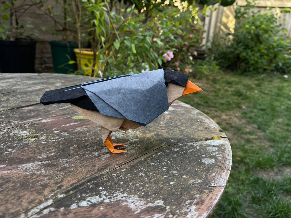 PassionOrigami's tweet image. Java Sparrow by Katsuta Kyohei
Diagram in the last tanteidan magasine
Folded by me using two squares:
Shadow Thai, #7 black/blue grey 24x24 cm +Luminous Thai #8  white/sienne 24x24 cm

#origami