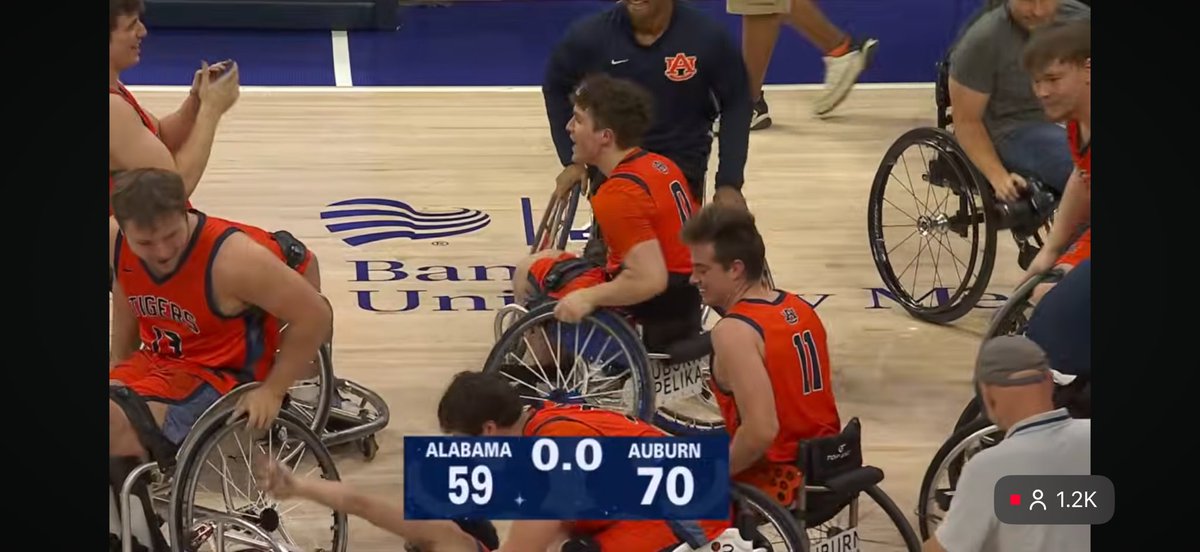 Auburn Memes tweet media