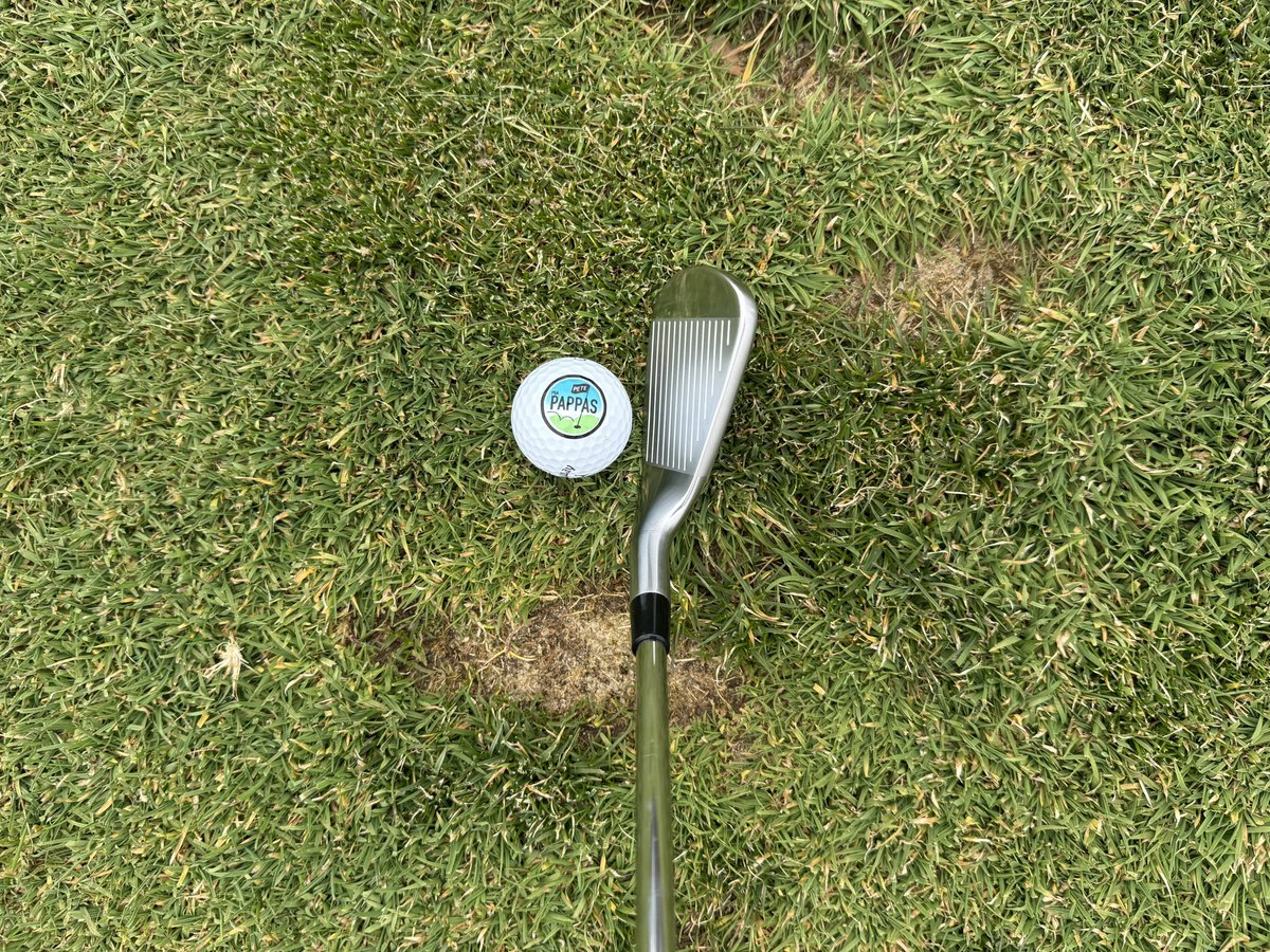 Pete Pappas tweet media