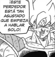 Salvatore tweet media