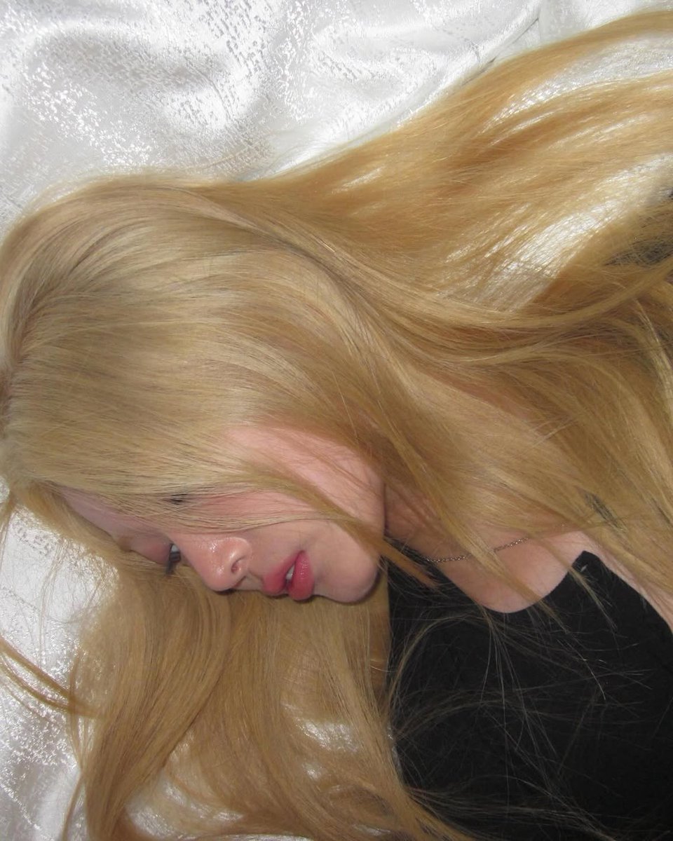 y🐈・・ tweet media