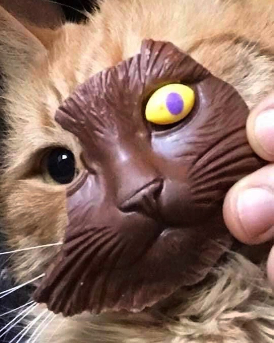 jfur76's tweet photo. Happy Easter? https://t.co/TYATJVb5oX