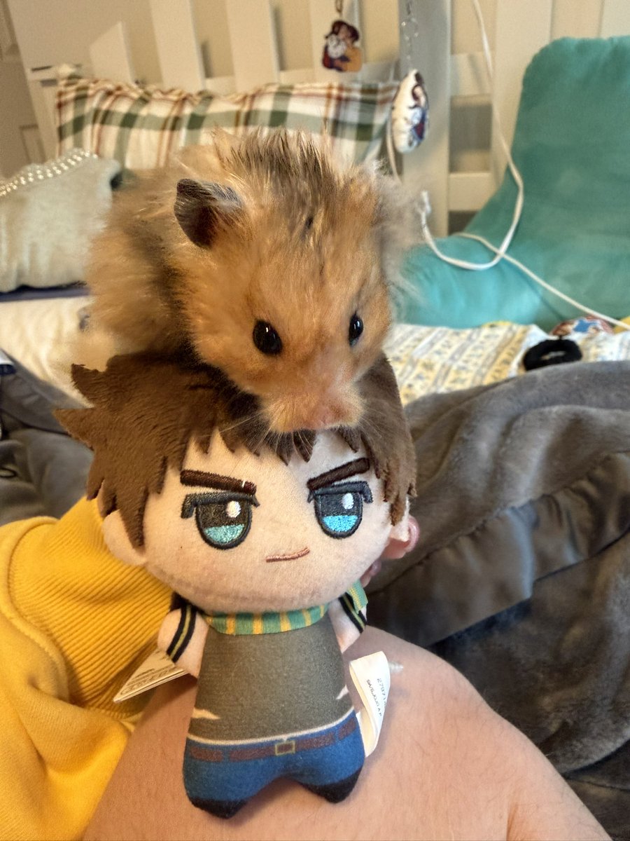 katya ᰔᩚ tweet media