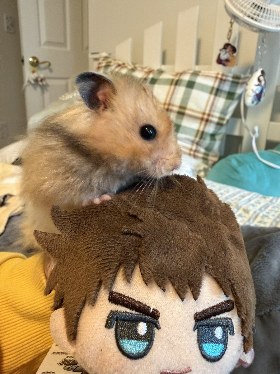 katya ᰔᩚ tweet media