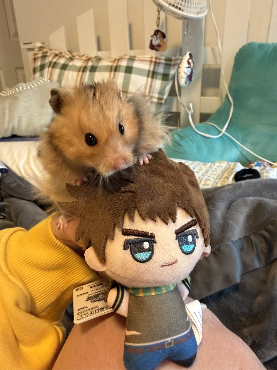 katya ᰔᩚ tweet media