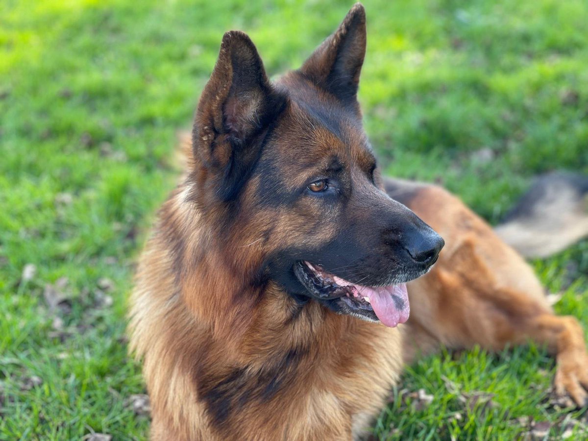 Mandooow tweet media