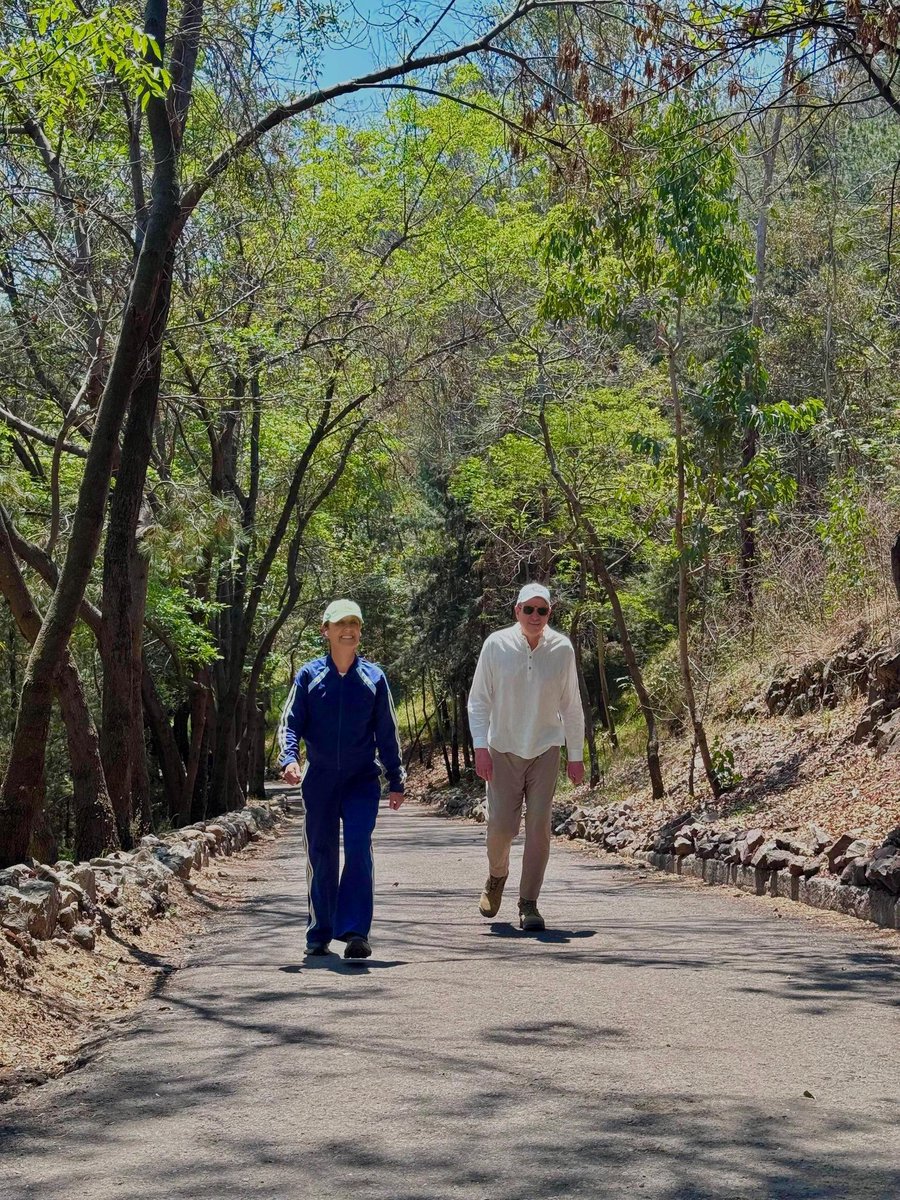 Marco Levario Turcott tweet media