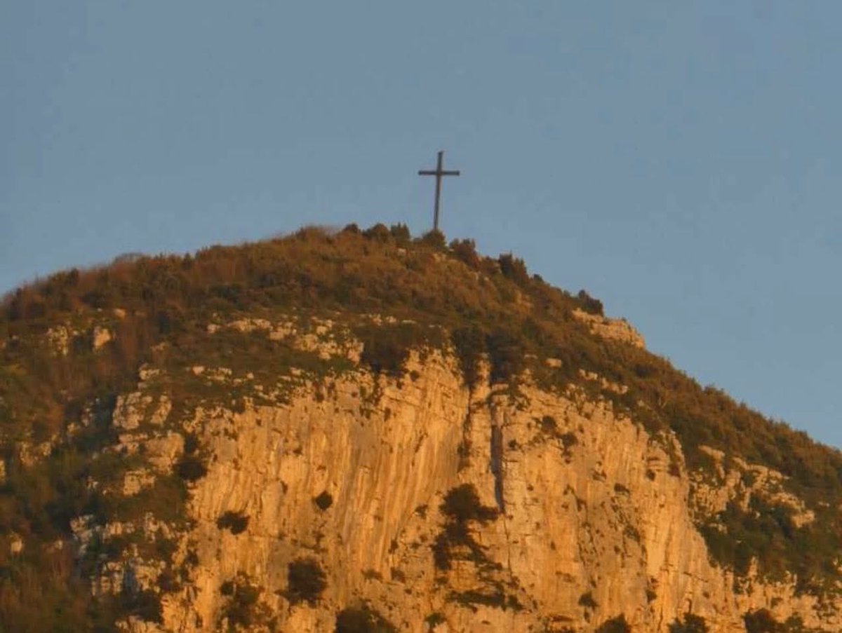 Holy Cross Preparatory Academy tweet media