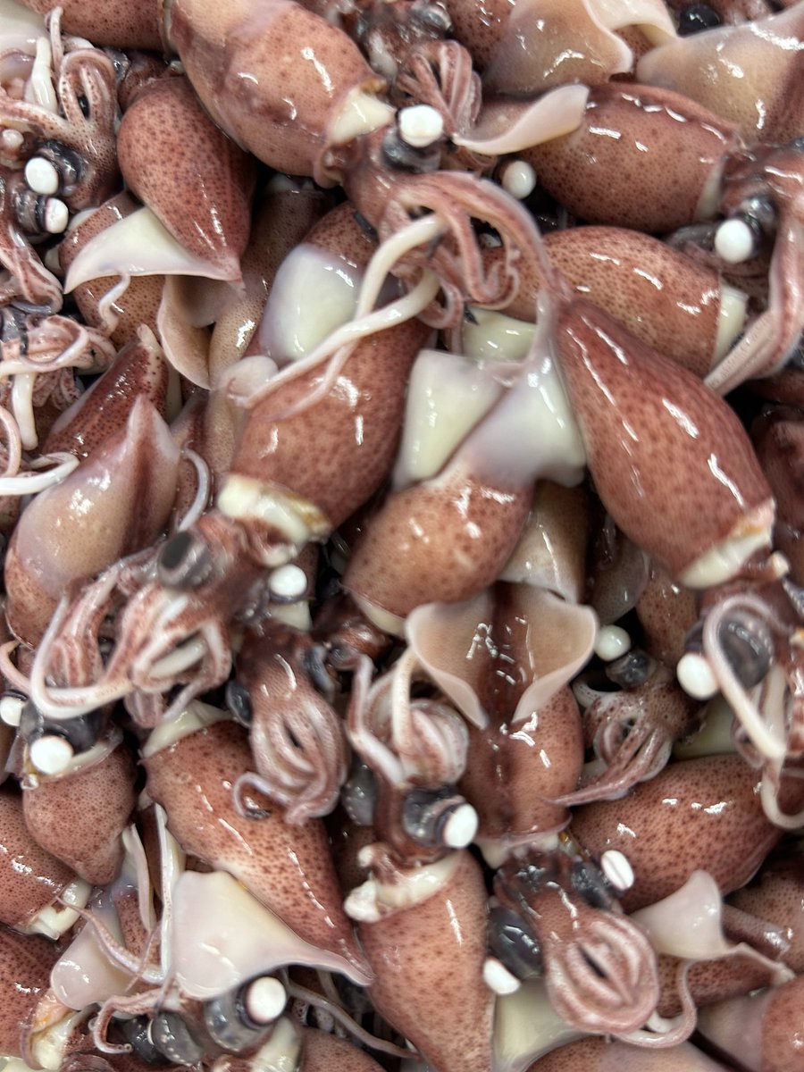 えびよね（蛯米水産加工）塩辛🦑🖤富山 tweet media