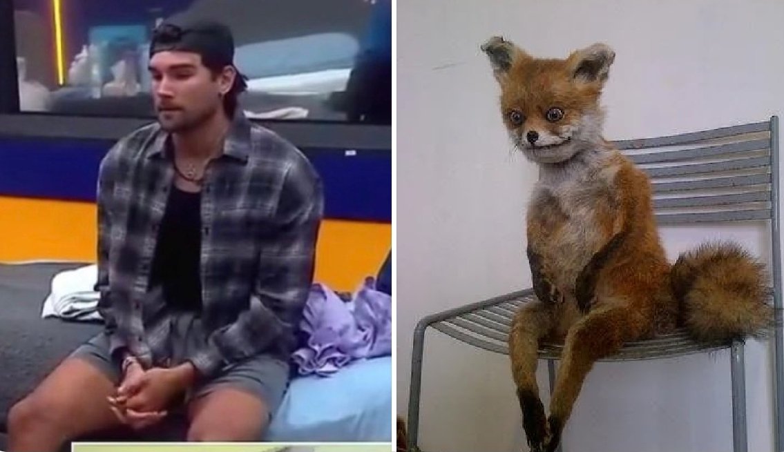 MeExpreso tweet media