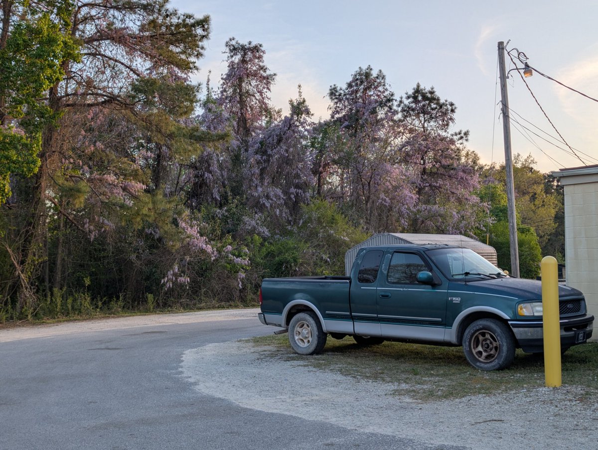 Papa Trager, Disrespectfully ๐ธ๐ฃ tweet media