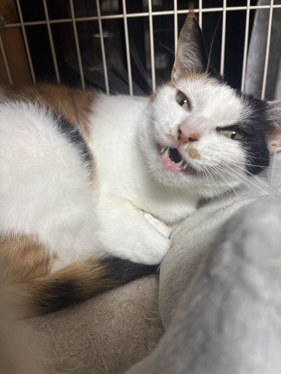 🌏星のソムリエ®︎松野 tweet media