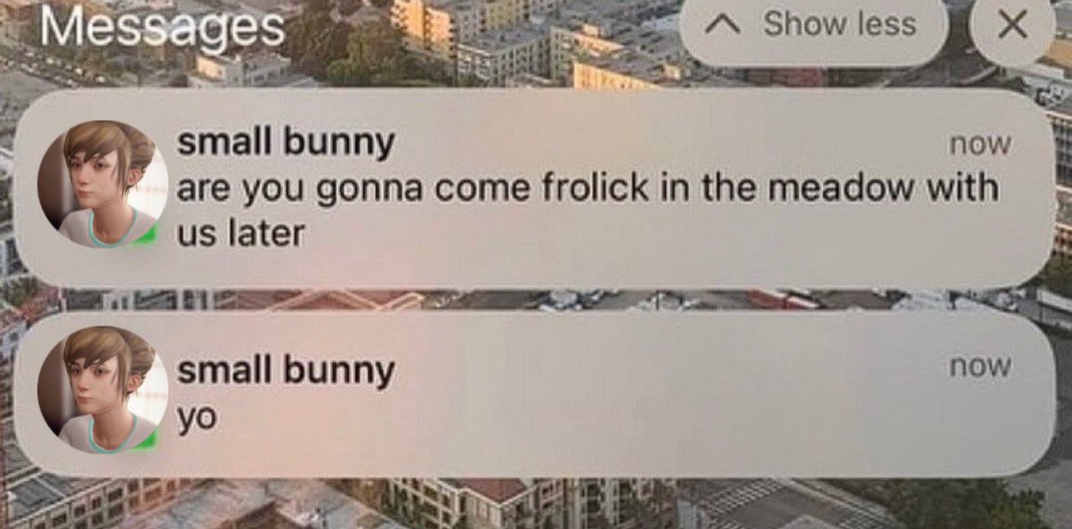 saif 𐙚⋆.˚|| lis : reunion spoilers! tweet media