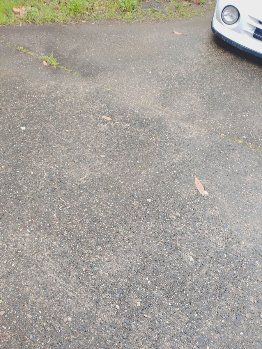 My Append (TOSHI美濃あーと) tweet media