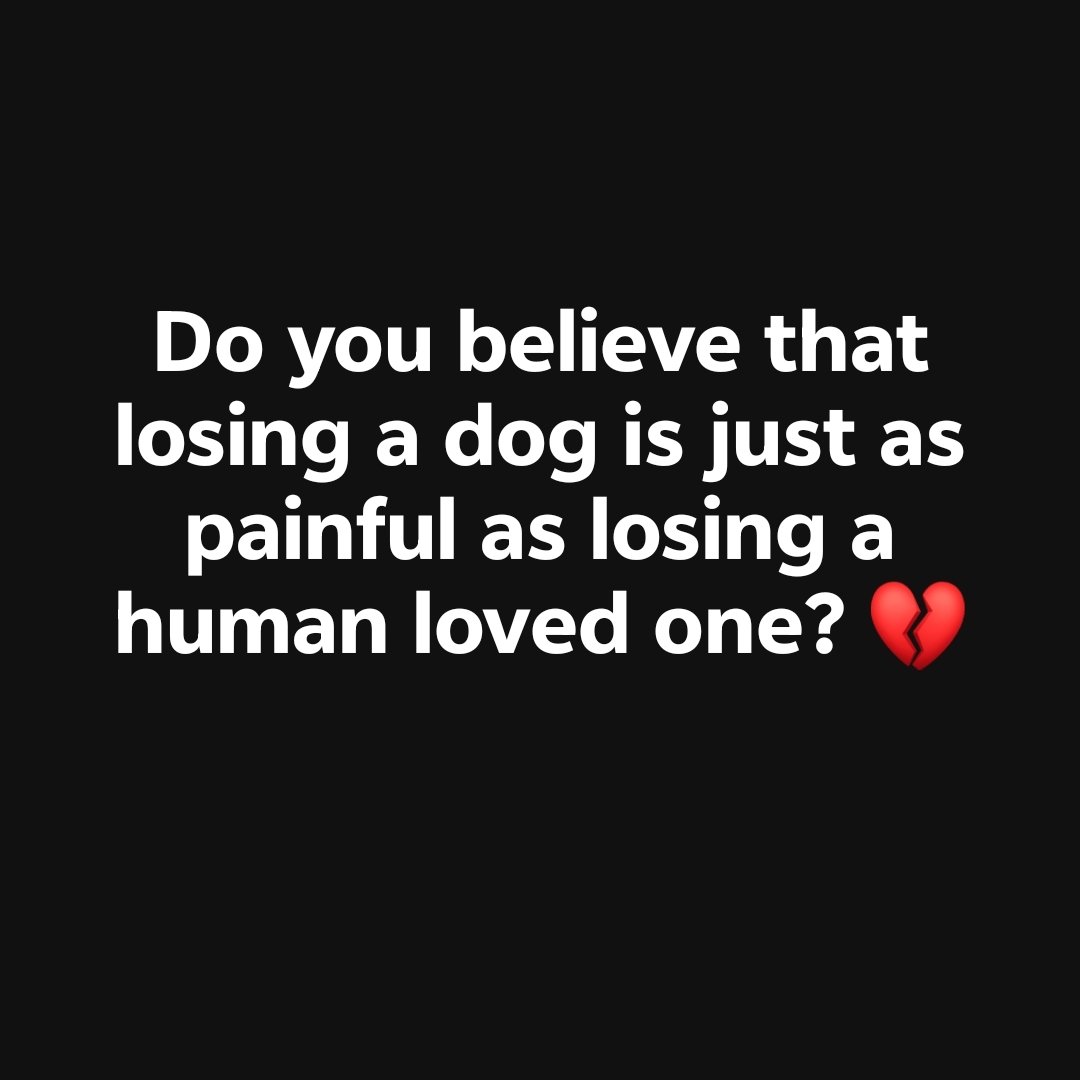 Kristina Bolten tweet media