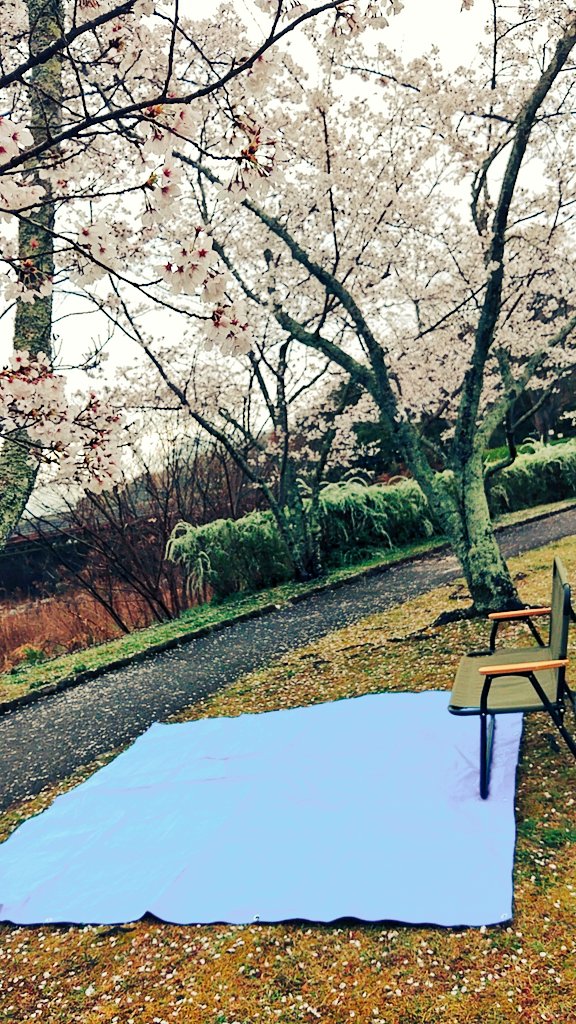 こば よし tweet media