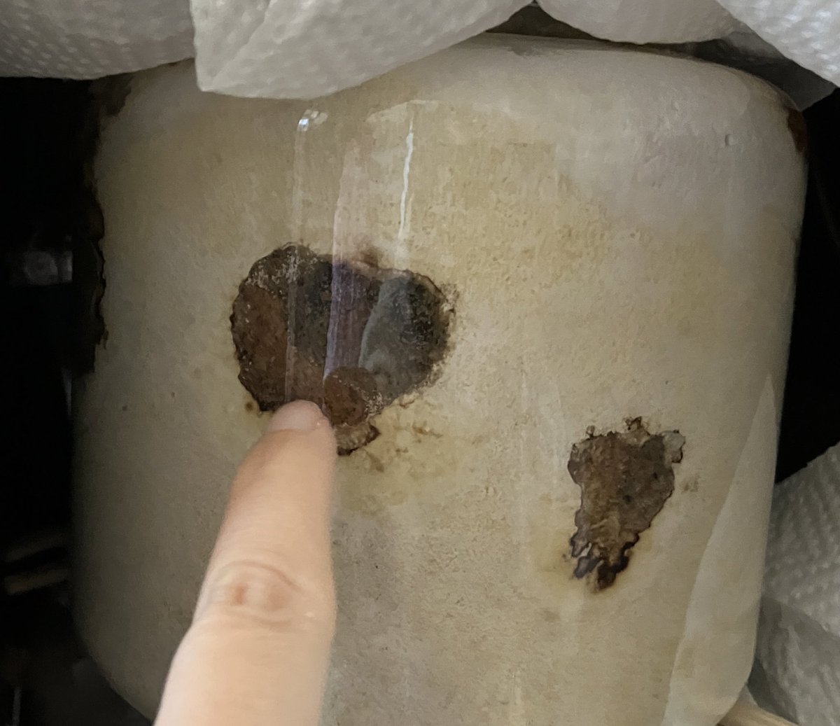 にゃた tweet media