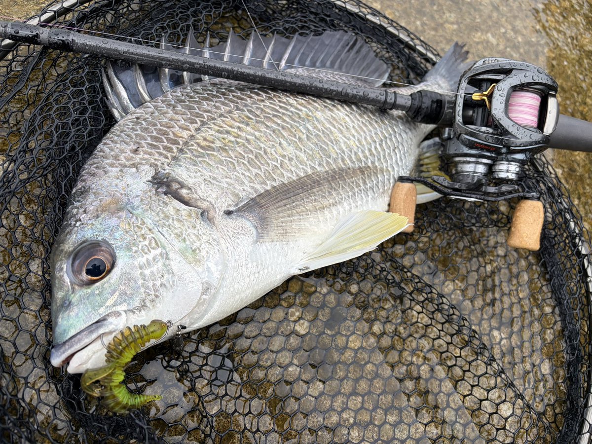 ogatyunity tweet media