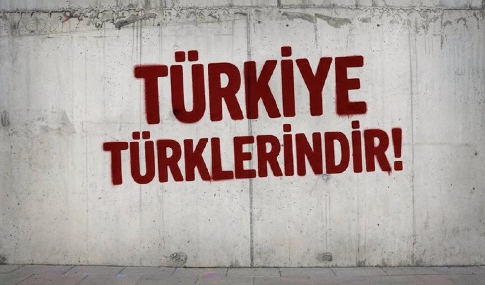 Türkçü Çizgi tweet media